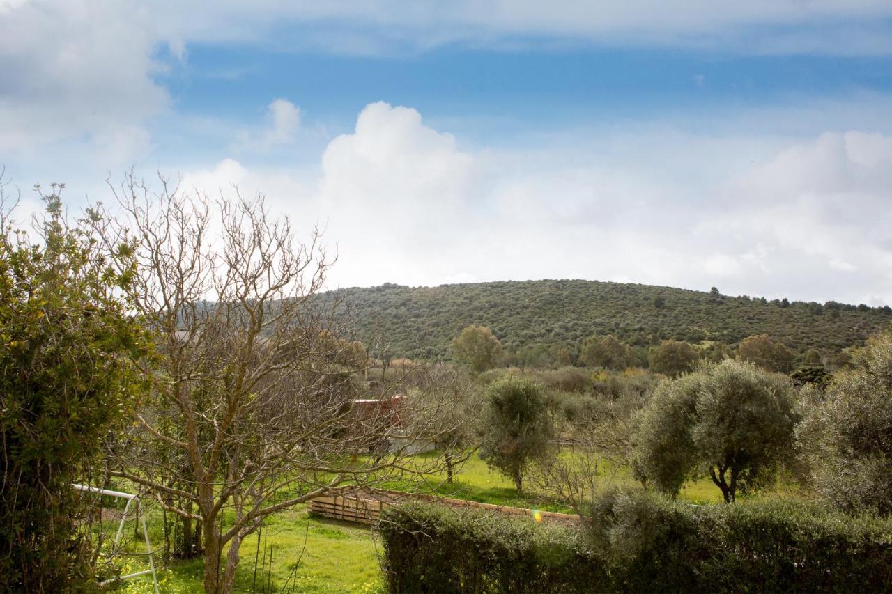Alghero In Bicicletta Luaran gambar